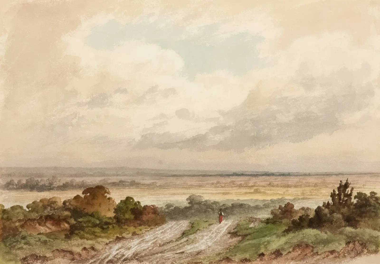 OpenClaw Setup footer background